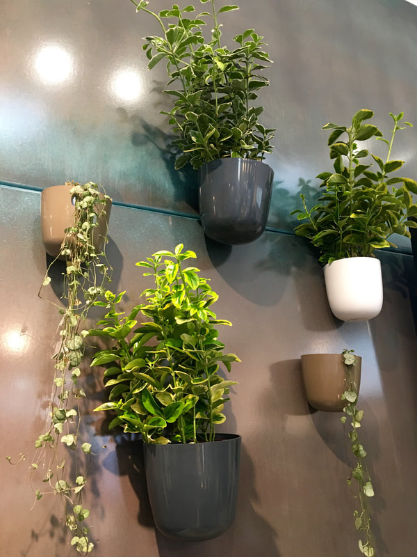 Magnetic plant pots on interior exterior metal clad kitchen wall by value